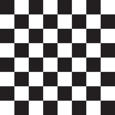 Stock Checkered Pattern Basket Liners & Food Wraps (12" x 12")